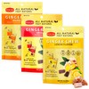Pocas Ginger Chews, Variety Pack - Mango, Original, and Lemon