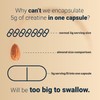 NatureBell Creatine Monohydrate Capsules 5,000mg Per Serving, 500 Count |