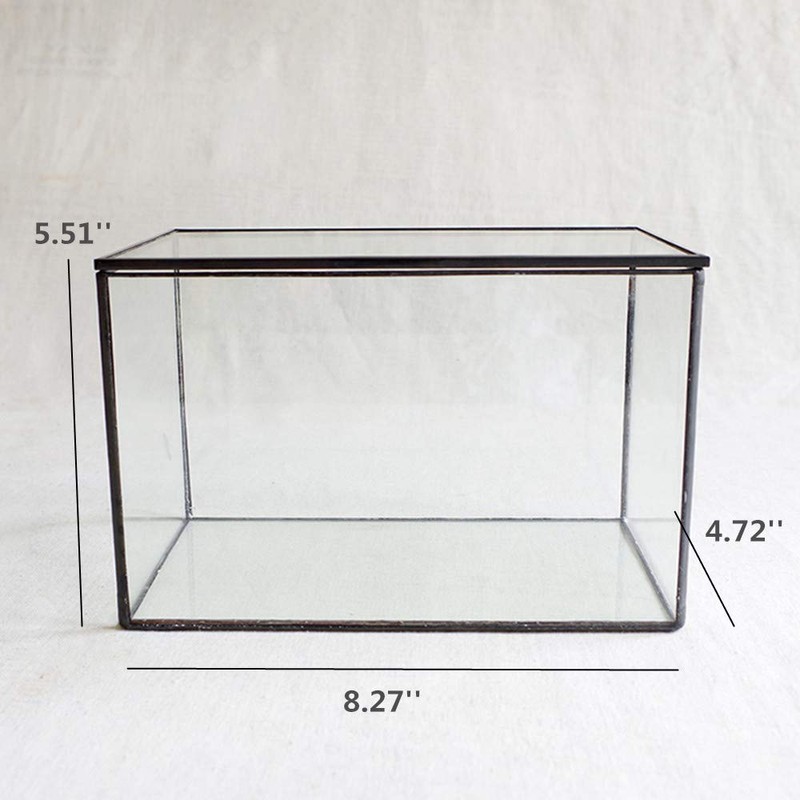 Glass Plants Terrarium with Lid,Rectangle Black Pot Box for Indoor
