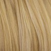 Half wig with volume booster/height booster: Corrine honey blonde #24BH613