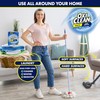 OxiClean Versatile Stain Remover with Max Efficiency (275 Loads)