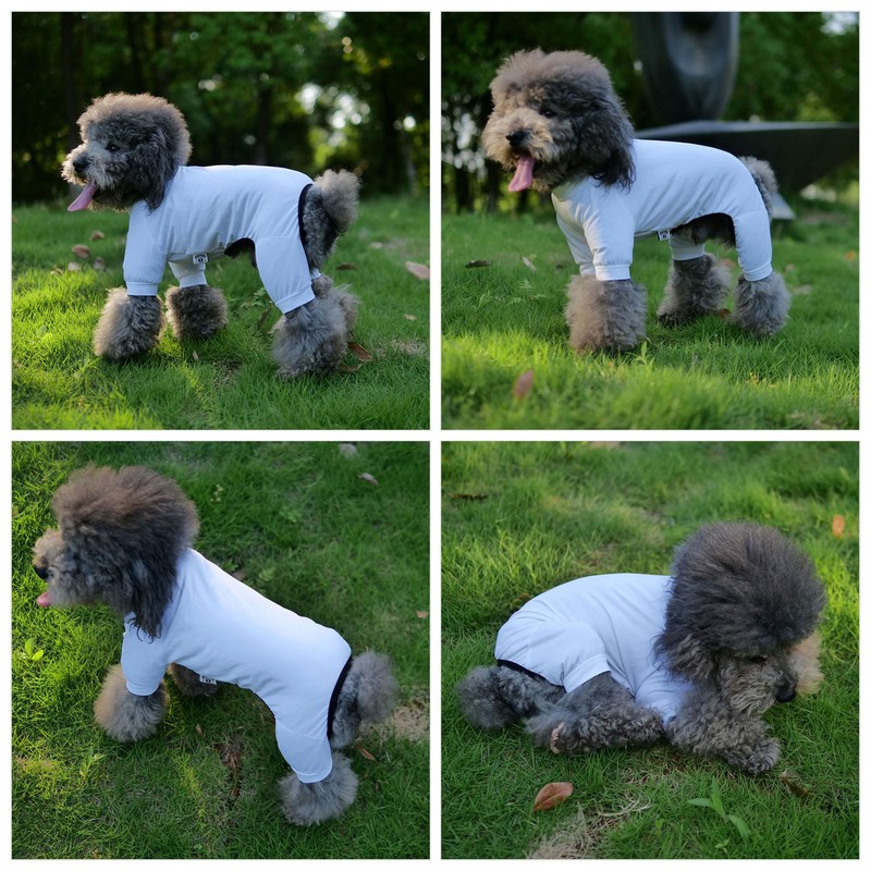 LoveLongLong Dog Jumpsuit with UV Protection and Quick-Dry Fabric for