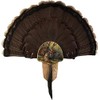 Walnut Hollow Turkey Display Kit Spring Strut