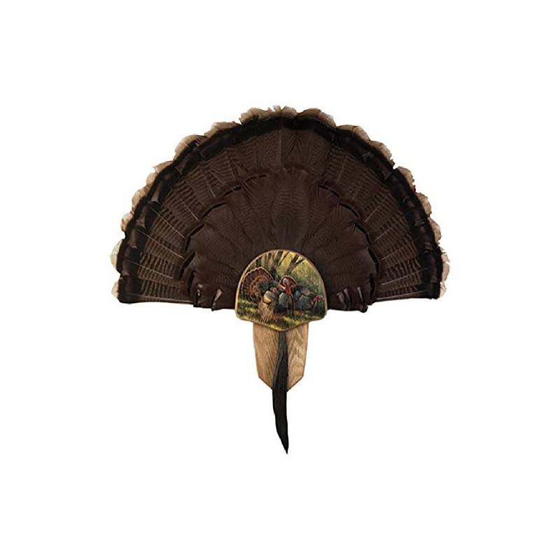 Walnut Hollow Turkey Display Kit Spring Strut