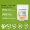 Pasiguaro Pack 2 Bolsas Complejo B+b12 Pasiguaro con 150 cápsulas