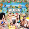 Hawaiian Aloha Party Decoration Hawaii Party Decoration Summer Luau Beach
