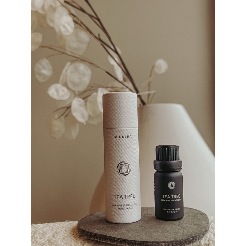 Bursera Tea Tree Essential Oil, Tree Planted with Every Order,