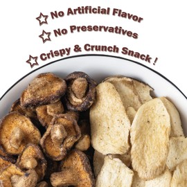 VIGOROUS MOUNTAINS Mushroom Chips Veggie Snacks, Dried Shiitake and King Oyster Good Salted Crisp Mix, Grocery Vegetable Snack Chip 8.82 Oz, 250 g
