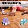Remote Control Dinosaur Car Multi Functional Safety Anti Collision RC