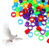 KFHENSOMR 200Pcs Adjustable Chicken Leg Rings, 5 Colors Chickens Identification
