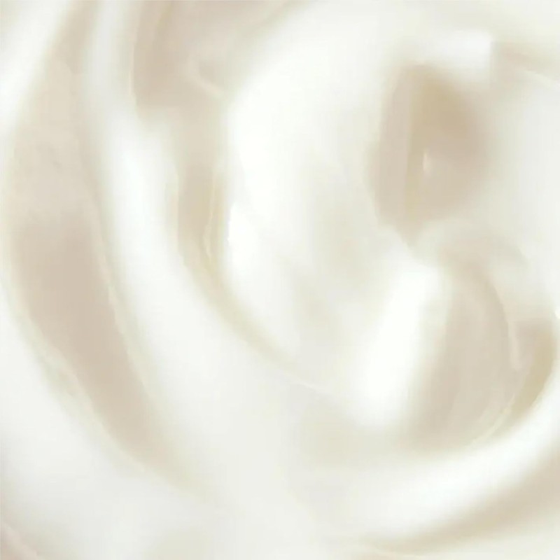 Vitamin E Night Cream by Mario Badescu for Women -