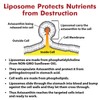 Liposomal Astaxanthin Supplement 24MG, Maximum Absorption, Antioxidant Stronger Than VIT