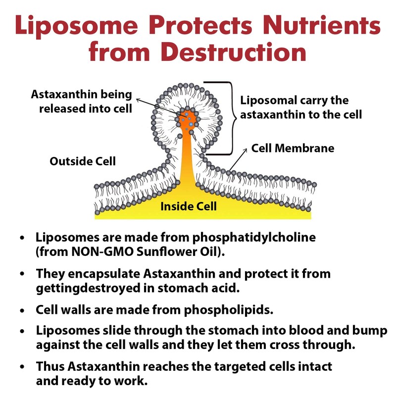 Liposomal Astaxanthin Supplement 24MG, Maximum Absorption, Antioxidant Stronger Than VIT