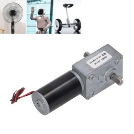 DC Gear Motor Double Shaft 12V Self-Locking Speed Reduction Cw Ccw Worm Gear Motor For Control (10Rpm)