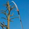 Walensee Pole Saws for Tree Trimming 7.7 FT Lightweight Manual