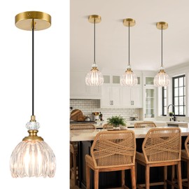 Rainzepher 1-Light Gold Mini Pendant Light Kitchen Island Hanging Fixture Adjustable with Tulip Glass Shades for Dining Room Hallway