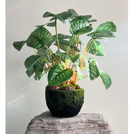 Mythlty 2 Artificial Taro Plants with Long Branches and Stems, Fake Greenery Stems, Fake Elephant Ear Plant for Greenery Backdrop Greenery Wall Indoor Home Decor (Green)