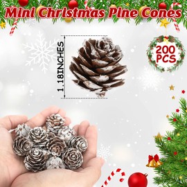 200 Pcs Snow Pine Cones, Mini Pinecones for Craft, Natural Cones Wreath, Christmas Bowl Stuff Winter Decorations Decor Accessories Party Suppliesfor Home Indoor Vase Filler