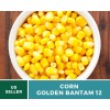 Southern Seeds Corn, Golden Bantam (12 Row) seeds - Heirloom