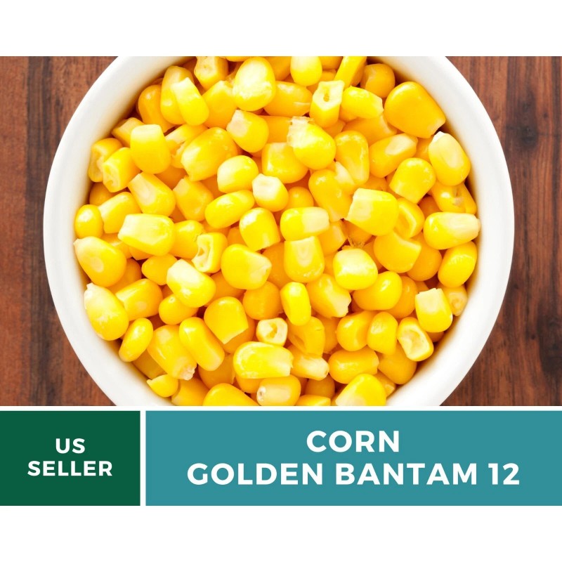 Southern Seeds Corn, Golden Bantam (12 Row) seeds - Heirloom