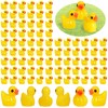 Mini Resin Ducks, Pack of 100 Mini Duck Figures, Mini