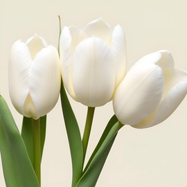 Blomira 20 Pieces of Tulip Artificial Flowers in White PU Material with Real Touch; Silk Flowers Suitable for Autumn Gifts in Bulk for Home Kitchen; for Wedding Home Decoration Wedding Decoration.