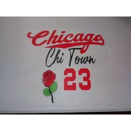 IntheTruth Chicago Chi-Town Iron On Heat Stamp w/Skeleton on Back