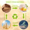 LIYH 20pcs Wheat Straw Plates 9Inch, Beige Reusable Plastic Plates,
