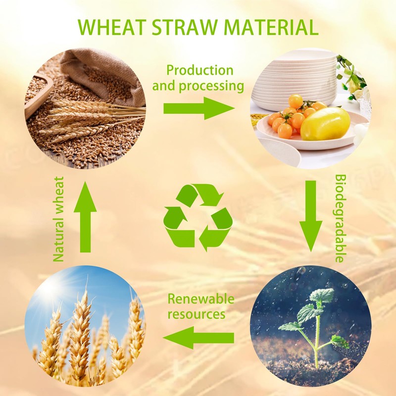 LIYH 20pcs Wheat Straw Plates 9Inch, Beige Reusable Plastic Plates,