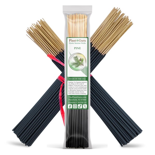 Pine Exotic Incense Sticks 11 Inch - Bulk 1 Bundle
