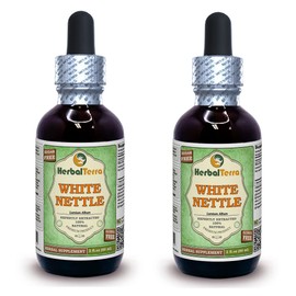 White Nettle (Lamium Album) Glycerite, Dried Leaves Alcohol-Free Liquid Extract (Brand Name: HerbalTerra, Proudly Made in USA) 2x2 fl.oz (2x60 ml)