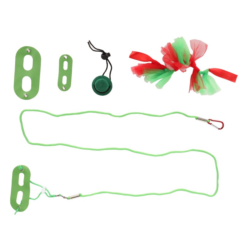 Reptile Pet Leash Kit Christmas Reptile Harness with Skirts Hat