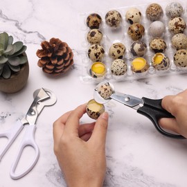 Adecco LLC Pigeon Quail Egg Cutter Scissors Stainless Steel Blades Bird Cutter 2 Pack (Quail Egg Scissor)