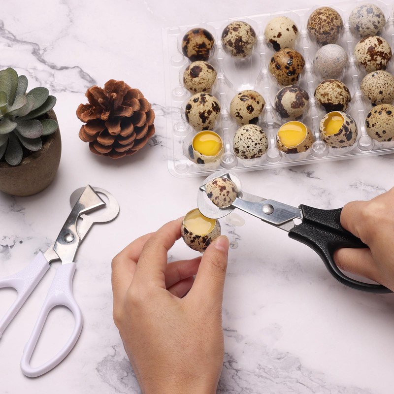 Adecco LLC Pigeon Quail Egg Cutter Scissors Stainless Steel Blades