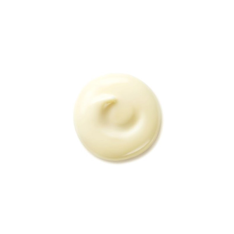 Shiseido Wrinkle Smoothing Day Cream Spf23 50 ml