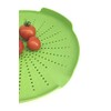 SHP Kitchen Sink Strainer Green