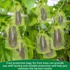 DECYOOL 120 PCS Fruit Protection Bags 8x12 inch, Green Fruit