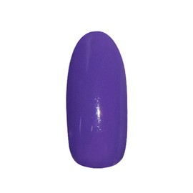 Prigel Gel Nail Color EX Iris 814