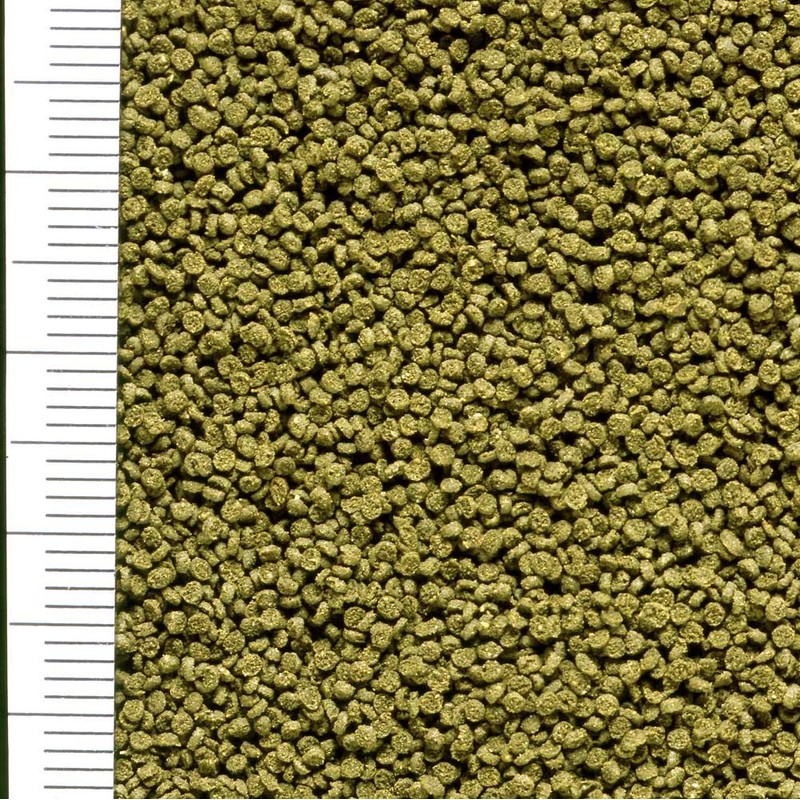 Hikari Hikari Shrimp 20g (x1)