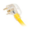 Champion Power Equipment 2 ft. 30A 125V Generator Adapter Cord