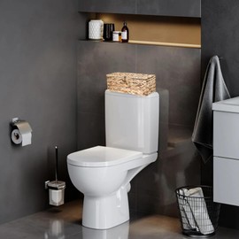 Sumnacon Wicker Storage Basket with Lid Rectangle Wicker Basket with Lid for Toiletries Tampon Storage,Toilet Tank Topper Basket Water Hyacinth Storage Baskets for Shelf Bathroom Toilet Table