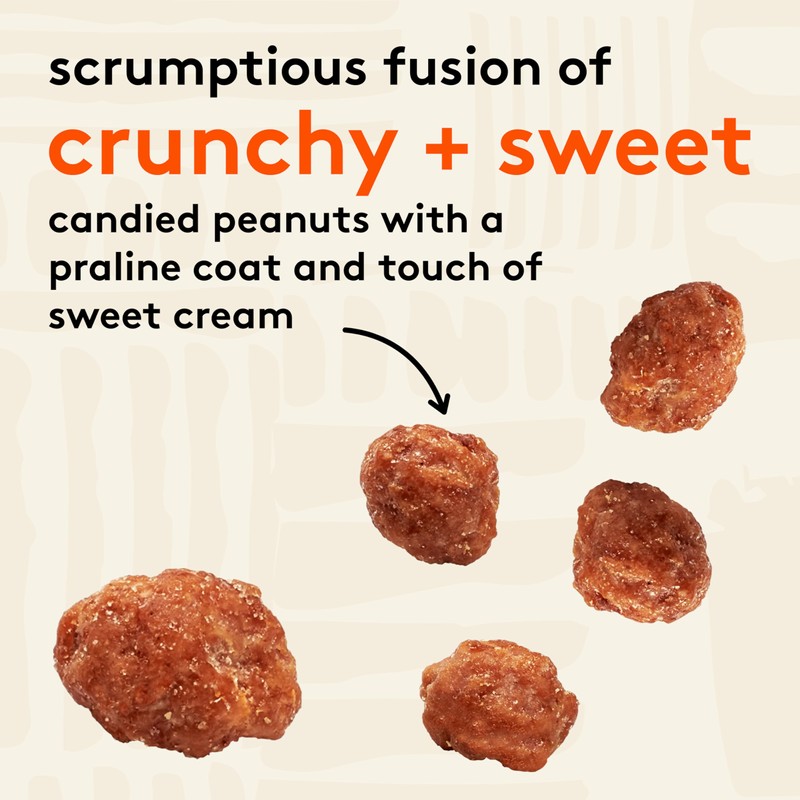 Snak Club Toffee Peanuts, Candied Peanuts with Praline Coat and