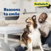 PetSafe Adjustable Martingale Collar - Only Tightens When Dogs Pull,