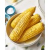 TomorrowSeeds Honey Select Triple Sweet Corn Seeds | AAS Winner