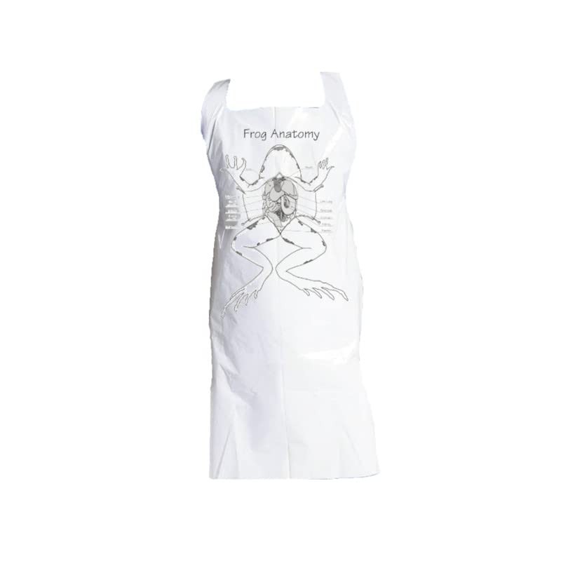 Anatomy Lab Sheep Brain Dissection Kit with Scalpel Dissection Guide