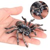 4 Pieces Realistic Spider, Plastic Fake Spider, Animal Mimicry Model,