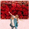 Red Rose Valentine's Day Banner Backdrop, Valentine's Day Party Decorations,