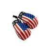 Red Hat Ent Hanging Car Mirror Mini Boxing Gloves (USA)