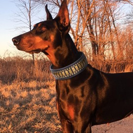 PET ARTIST Soft Genuine Leather Dog Collar, 2" Wide Luxury Rivet Studded Collar with Heavy Duty Metal Buckle, Adjustable Spiked Collar for Medium Dogs, Brown, L, Neck for 15-18"