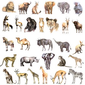 Pack of 50 Realistic Animal Stickers, African Wild Animal Stickers, Waterproof Jungle Wild Animal Stickers, Various Safari Zoo Stickers for Children, Water Bottle, Scrapbook